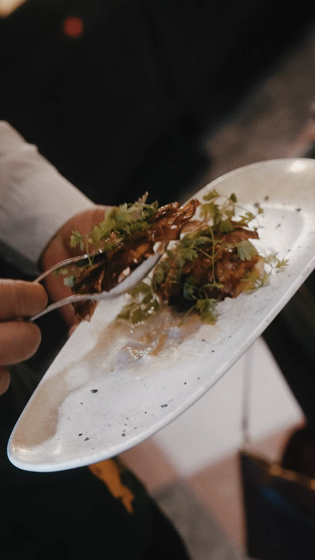 Plato de carne servido en la mesa de FOX